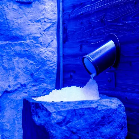 Otel Troschana Flirsch